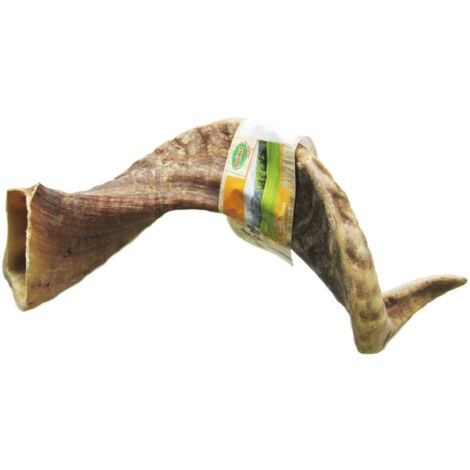 Corne de mouton Désignation : Corne de mouton  Taille : L BUBIMEX 7477