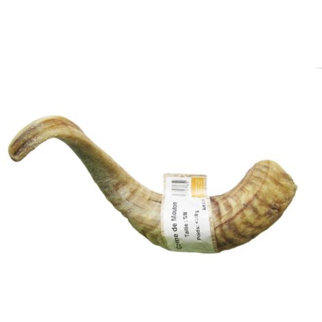 Corne de mouton Désignation : Corne de mouton  Taille : S / M BUBIMEX 7476