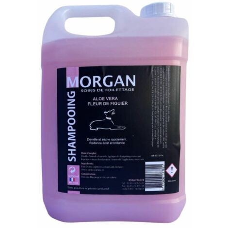 Shampoing Aloe Vera & Fleur de Figuier Morgan - 5L