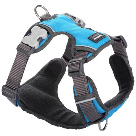 Harnais chien Red Dingo rembourré Turquoise Taille : T2