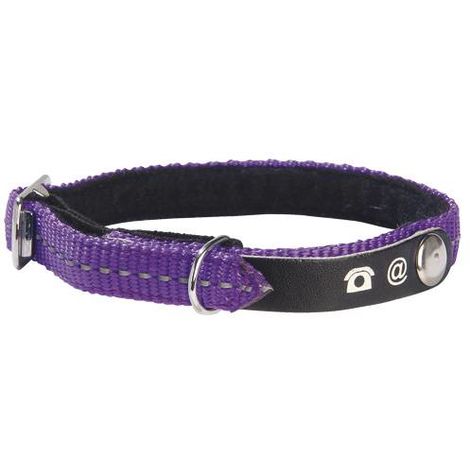 Collier Lost Pour Chat Bobby Couleur Violet F2733