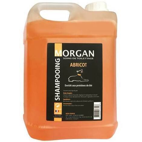 Shampoing protéiné à l'abricot Morgan : 5 litres