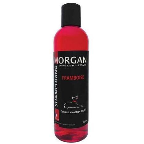 Shampoing protéiné Framboise Morgan : 250ml (1/2)