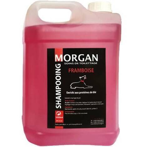 Shampoing protéiné Framboise Morgan : 5 litres