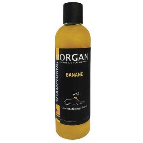 Shampoing protéiné Banane Morgan : 250ml