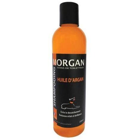 Shampoing à l'huile d'Argan Morgan : 250ml