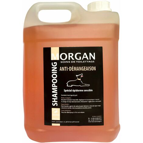 Shampoing anti-démangeaison Morgan : 5L