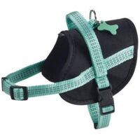 Harnais Easy Safe Lagon Taille : S