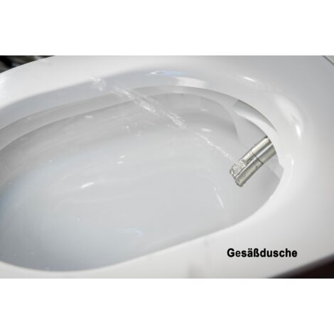 WC multifunzione BERNSTEIN PRO+ 1104 offerta speciale 26 e sistema di installazione a parete G3004A con placca di comando, Placca di comando:Placca di comando 4112 bianco opaco