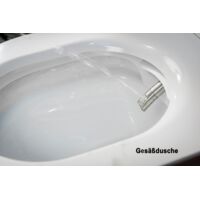 BERNSTEIN PRO+ 1104 WC Multifunzione Con Doccia E Asciugacapelli + Elemento A Parete G3004A E Placca Vetro Bianco