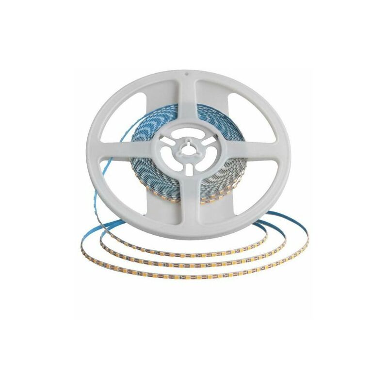 Striscia Led SMD 2835 60 led/m 5W/mt 12 o 24V 5mt , Qualità al miglior  prezzo