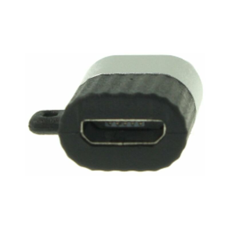 Adattatore Da USB Type C Femmina a Micro USB Maschio Con Portachiave  Incluso