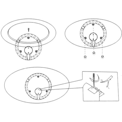 Modulo LED Per Plafoniera Circolare 24W - 2400LM, D222mm, Bianco Freddo 6500K | Sostituzione Neon, IP20, 220V - Foto 12