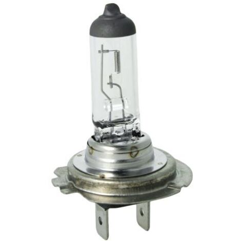 2 PZ Lampada Alogena Auto H18 12V 65W PY26d-1 Per Ford Ecosport Kuga
