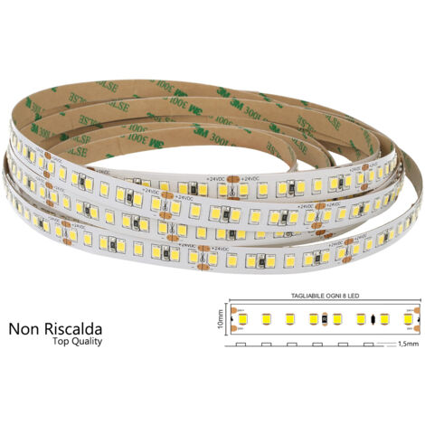 24V Bobina Striscia LED 12W/M 165LM/W 2000LM/M 3 Step Bianco Freddo 6000K 800 SMD 2835 5 Metri IP20 (1/3)