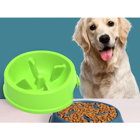 Ciotola Slow Food Per Cani e Gatti Diametro 24cm Altezza 6,5cm  Capacità 1 Litro Colore