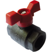 VANNE PP FF 33x42