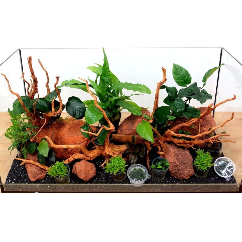 Knstlicher Aquarium Baum Pink Schneeflocken | Kunststoff Fisch Tank  Pflanze | Aquascaping Dekoration
