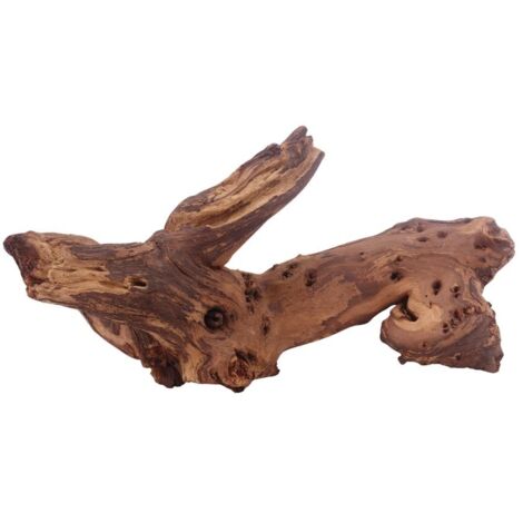 Mopani hout, ook wel Mangrove hout genoemd, natuurlijk houtstukken