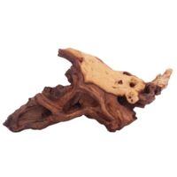 XL Mopani Wurzel Nr.9384 Holz Deko Aquascaping