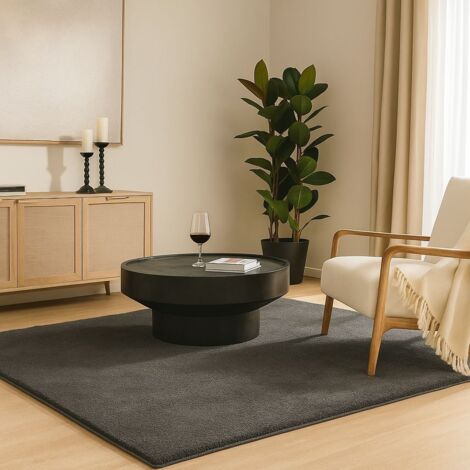 Tapis de salon poils ras doux antiderapant 120x160cm uni anthracite