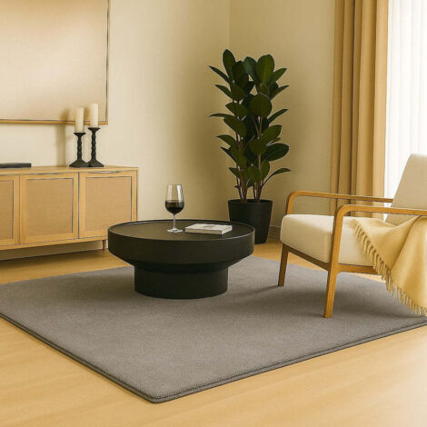Tapis de salon poils ras doux antiderapant 140x200cm uni gris