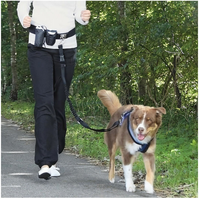 Trixie TRIXIE Ceinture de jogging pour chien avec laisse Gris et