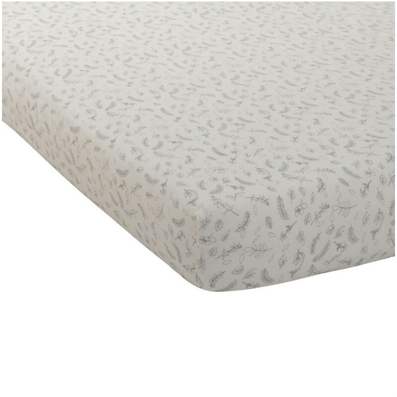 TODAY Drap Housse 140X190 2 personnes Jersey uni beige JERSEY TODAY