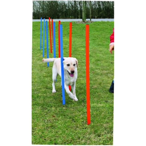 TRIXIE Piquets de slalom pour parcours d'agilité 115 cm 12 pcs Plastique
