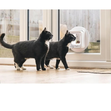 SUREFLAP Chatiere Connect a puce électronique - iDSCFWT - Blanc