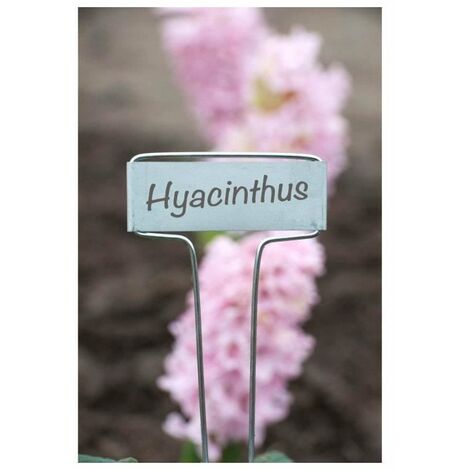 100 Étiquettes Pour Plantes - 125mm Blanc - Marqueur Compatible - Pour Jardinage