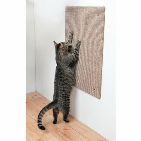 Trixie Griffoir Xxl Tapis En Sisal Catnip 50 X 70 Cm Taupe Pour Chat