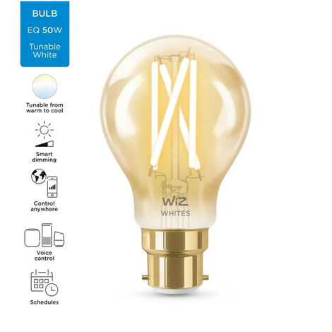 Kit de démarrage WiZ 2 ampoules connectées Edison Blanc variable
