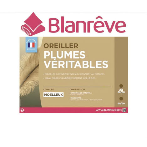 BLANREVE Lot de 2 oreillers Plumes - 60x60 cm
