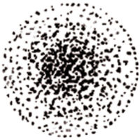 Gicleur Steinen Type S - Répartition pleine 45°-212033 - Cbm