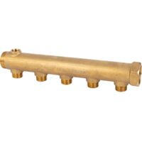 Collecteur 5 sorties - MF 1' - M 1/2' - Avec prise de purge F 3/8' - Riquier