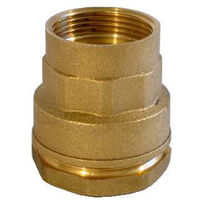 Raccord droit PE femelle - Diamètre : 25 - 3/4''