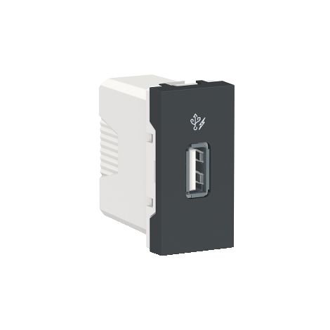 Enchufe 2P+T con USB A+C, Elegance, aluminio & antracita