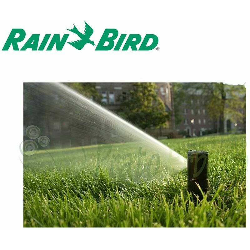 5 Irrigatori A Scomparsa Rain Bird 1804 Per Prato, Altezza 10 Cm, Getto 0,6-5,5 M, Regolabili, Molla In Acciaio Inox