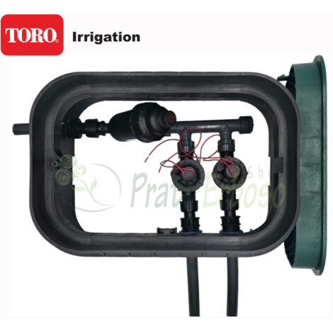 Toro PA-EZP-F2 - Pozzetto per irrigazione assemblato da 1" 2 zone