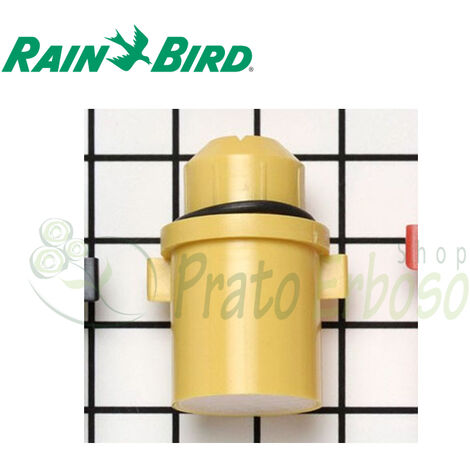 Boccaglio giallo 48 per Eagle 900