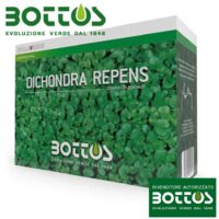 Dichondra Repens - Sementi per prato da 1 kg
