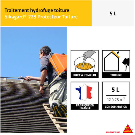 Sika 546963 Idrorepellente Liquido Per Calcestruzzo - Impermeabilizzante Di Massa, 5 Litri, Bianco