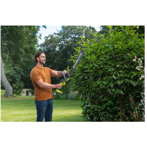 Tagliasiepi Telescopico A Batteria Ryobi OPT1845 A Soli &euro; 149.9