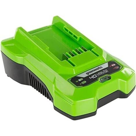 Caricabatterie GREENWORKS 40V - G40C (1/7)