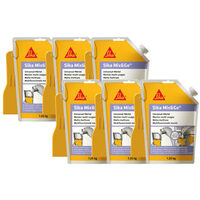 Set di 6 malte pronte per la riparazione - SIKA Mix & Go - Grigio - 1,25kg