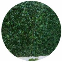 Treillis en bois de saule et feuilles de vigne vierge artificielles - Vert