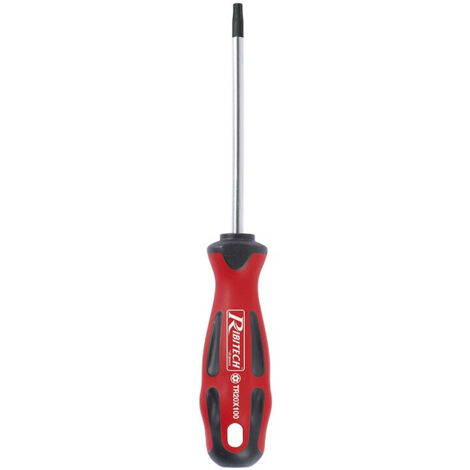 Tournevis Torx T20 5x100 aimanté (1/2)