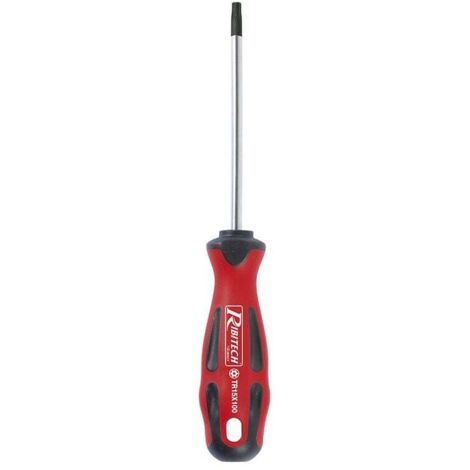 Tournevis Torx T15 5x100 aimanté (1/2)