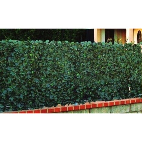 gamme haie FEUILLAGES DUO 1,00mx3m